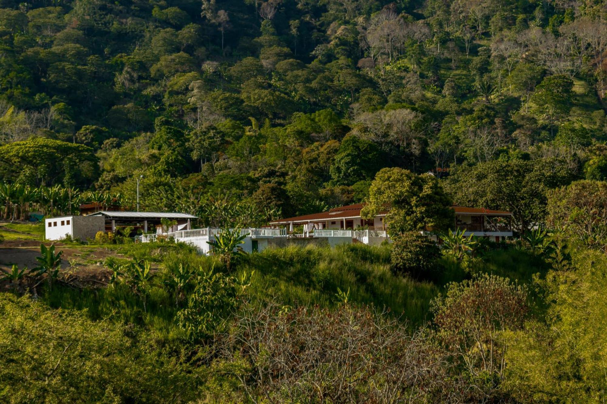 Hotel Campestre La Francesina Betania Kültér fotó